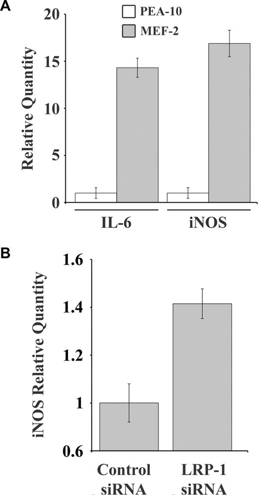 Figure 4. IL-6 and iNOS expression is increased in LRP-1–deficient cells. (A) PEA-10 and MEF-2 cells were grown for 18 hours in SFM. Expression of IL-6 and iNOS was analyzed by qPCR. (B) RAW 264.7 cells were transiently transfected with NTC or LRP-1–specific siRNA. Expression of iNOS was analyzed by qPCR 36 hours after transfection. Error bars represent SD.