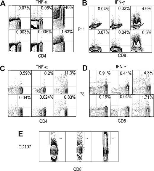 Figure 2. CD4+ and CD8+ T-cell responses via flow cytometry. TNF-α (A,C) and IFN-γ responses (B,D) (first column, leukemic cells alone; second column, remission sample alone; third column, leukemic and remission samples) in CD4+ and CD8+ T cells of P11, 4 months (A,B) and P8, 15 months (C,D). (E) CD8+ CD107+ responses (third column, leukemic and remission samples) in patient P11, 4 months compared with leukemic cells alone (first column) and remission sample alone (second column).