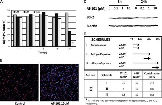 Figure 4. Diffuse large-B cell line (RL). (A) Assessment of the mitochondrial membrane potential (Δøm). AT-101 (1 μM, 3 μM, 10 μM) from 1 hour to 24 hours of exposure. (B) Confocal microscopic detection of apoptosis in a large B-cell lymphoma line (RL) treated with AT-101 for 24 hours. YO-PRO-1 (nuclei of apoptotic cells, green); Hoechst 33342 (nuclei, blue), MitoTracker Red (active mitochondria). AT-101 induces apoptosis in a large B-cell lymphoma cell line (RL) after exposure for 24 hours. Control, AR=3%; AT-101 10 μM, AT=38.7%. (C) Immunoblotting for Bcl-2 following treatment with AT-101in a large B-cell lymphoma line (RL). AT-101 does not affect levels of Bcl-2. (D) Cytotoxicity assay for AT-101 combined with 4-HC in a large B-cell lymphoma line (RL). Model of in vitro exposure to AT-101 and other drugs; a preexposure to AT-101 for up to 48 hours before adding 4-HC for an additional 24 hours revealed a synergistic interaction of the combination.