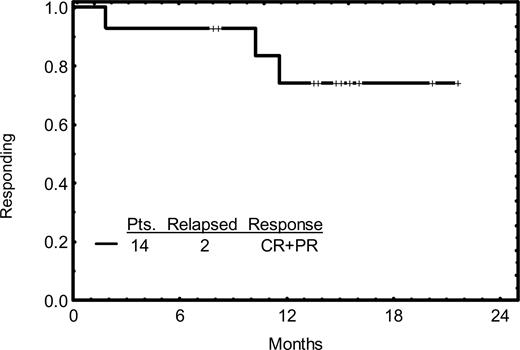 Figure 1. Response duration. Response duration (months) in 14 patients.