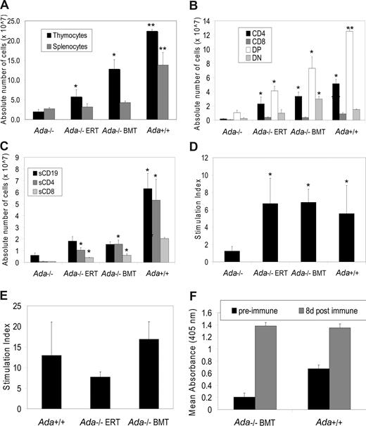 Figure 2. Immunophenotype and lymphocyte function at 60 days after neonatal BMT. (A-D) The mice were age-matched (60 days) in the experimental arms: (1) Ada+/+ (n = 4), (2) Ada−/− BMT (n = 6), and (3) Ada−/− ERT (n = 7). Data from the Ada−/− with no treatment (at day 16) from Figure 1 are reproduced here as a historical control. *Significantly higher than untreated ADA-deficient mice (P < .001). **Significantly higher than untreated ADA-deficient mice or those treated with neonatal BMT or ERT (P < .001). Data are means plus or minus SEM. (A) Absolute numbers of thymocytes and splenocytes. (B) Absolute numbers in each thymocyte subpopulation (CD4+, CD8+, double-positive (DP): CD4+, CD8+, double-negative (DN): CD4−, CD8−). (C) Absolute numbers in each splenocyte subpopulation (CD4+, CD8+, CD19+) were calculated by multiplying the total numbers of cells collected from the organ by the percentage of cells in each subpopulation. (D) Lymphocyte proliferative function to conA was assessed as described in Figure 1. (E) Lymphocyte proliferative function was assessed by stimulating splenocytes with LPS for 48 hours, pulsing with 3H-thymidine for 20 hours, and determining the stimulation index compared with cells not treated with LPS: (1) Ada−/− BMT (n = 5), (2) Ada−/− ERT (n = 2), (3) Ada+/+ (n = 2). (F) IgM production in response to vaccination with Pneumovax 23 in vivo. Preimmune sera were collected before vaccination and compared with sera collected 8 days postvaccination. IgM production was assessed by ELISA. (1) Ada−/− BMT (n = 5), (2) Ada+/+ (n = 3).