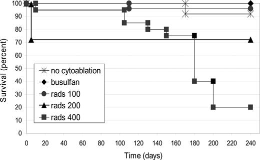 Figure 5. Survival after neonatal BMT with or without cytoreduction. Survival was recorded after ADA-deficient mice received neonatal BMT without cytoreduction (n = 14) or with cytoreduction using busulfan given to the pregnant dam (n = 21), or by total body irradiation (TBI) of 100 cGy (n = 25), 200 cGy (n = 22), or 400 cGy (n = 20). Survivorship was subjected to Kaplan-Meier analysis and shows a significant dose-response with increasing doses of TBI (P < .001).