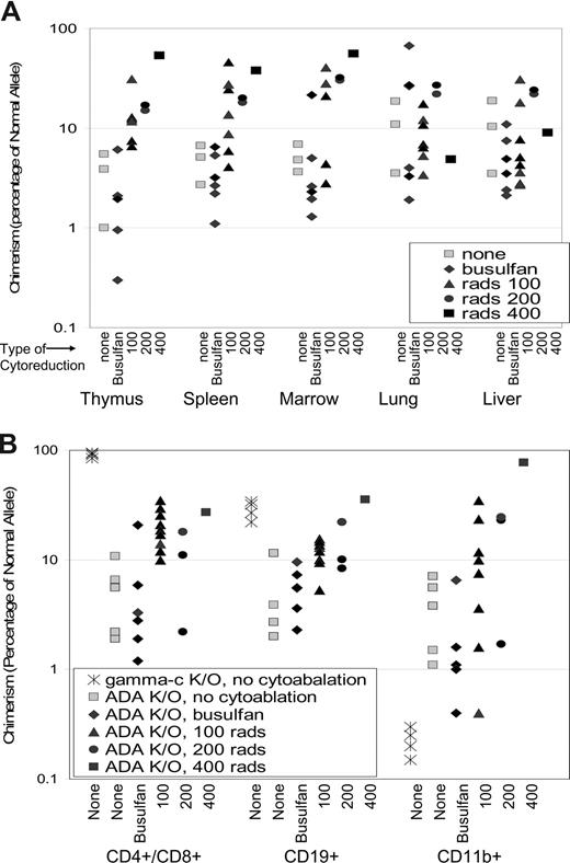 Figure 6. Donor chimerism after neonatal BMT and cytoreduction. (A) Chimerism was determined in tissues from ADA-deficient mice (no cytoreduction, n = 3; busulfan, n = 6; 100 cGy, n = 7; 200 cGy, n = 2; and 400 cGy, n = 1) after 240 days as described in Figure 5. Dose-response of chimerism with increasing TBI dosage is significant in thymus (P < .001), spleen (P < .05), and marrow (P < .001). (B) Chimerism was determined in cells from thymus (CD4+ and CD8+ T cells), spleen (CD19+ B cells), and bone marrow (CD11b+ myeloid cells) isolated from ADA-deficient mice (no cytoreduction, n = 5; busulfan, n = 6; 100 cGy, n = 9; 200 cGy, n = 2; and 400 cGy, n = 1) as described in Figure 4B. γC gene knockout mice (Ly5.1) were treated by neonatal infusion of normal congenic bone marrow (Ly5.2, γC+/+) and killed after 200 days (n = 4). Cell populations were isolated and analyzed as described in Figure 4B. Statistical analysis for ADA−/− mice only: Dose-response is significant in CD4+ cells (P < .001), CD19+ cells (P < .001), and CD11b+ cells (P < .05).