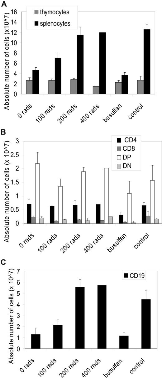 Figure 7. Immunophenotype after cytoreduction and neonatal BMT. All mice were age-matched (200-240 days) in the experimental arms: ADA-deficient mice (no cytoreduction, n = 3; 100 cGy, n = 7; 200 cGy, n = 2; and 400 cGy, n = 1; busulfan, n = 6) after 240 days. (A) Absolute numbers of thymocytes and splenocytes. Data are means plus or minus SEM. Significant dose-response in splenocytes (P < .001). (B) Absolute numbers in each thymocyte subpopulation (CD4+, CD8+, double-positive (DP): CD4+, CD8+, double-negative (DN): CD4−, CD8−) were calculated by multiplying the total numbers of cells collected from the thymus by the percentage of cells in each subpopulation. (C) Absolute numbers in each splenocyte subpopulation (CD4+, CD8+, CD19+) were calculated by multiplying the total numbers of cells collected from the spleen by the percentage of cells in each subpopulation. Significant dose-response in CD19+ (P < .001).