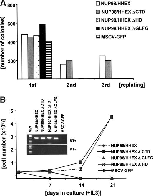 Figure 4. The GFLG repeats as well as the homeodomain (HD) are essential for in vitro transformation by the NUP98/HHEX fusion gene. (A) Representative replating assay (of 3 independent experiments) of bone marrow cells transduced with NUP98/HHEX (WT) and NUP98/HHEX deletion mutants. (B) Growth curve of bone marrow cells transduced with NUP98/HHEX (WT) and NUP98/HHEX deletion mutants grown in IL-3.