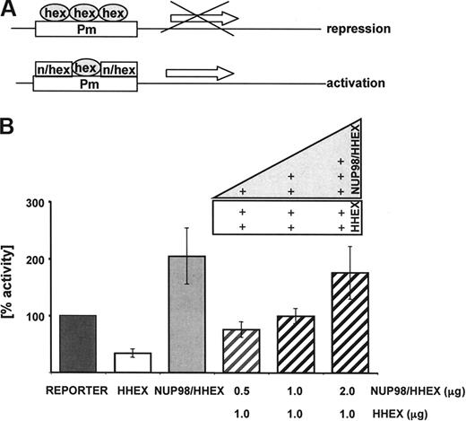 Figure 5. Transcriptional activity of the NUP98/HHEX fusion gene as shown by luciferase assays. (A) A luciferase reporter gene under the control of a promoter with 5 consecutive HHEX-binding sites was cotransfected into K562 cells with expression construct encoding NUP98/HHEX. (B) Coexpression of HHEX (1 μg) with increasing amounts of NUP98/HHEX (0.5-2 μg) reverted transcriptional repression mediated by HHEX into activation. Luciferase activity was corrected for transfection efficiency based on the activity of a cotransfected β-galactosidase construct. The transcriptional activating potential is expressed as the fold induction relative to the control. Bars represent the mean plus or minus SD of 3 independent experiments.