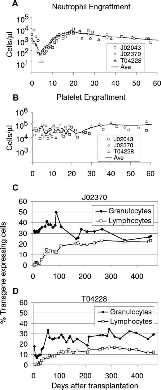 Figure 2. Engraftment and transgene expression levels in peripheral blood cells of monkeys that received lentivirally transduced stem cells from bone marrow using a 48-hour transduction protocol. Displayed for all 3 monkeys that underwent transplantation are the absolute neutrophil counts (A) and platelet counts (B) after transplantation. The solid line marks the interpolated time course of average cell numbers. The percentages of EGFP-expressing leukocytes detected by flow cytometry are shown for monkeys J02370 (C) and T04228 (D).