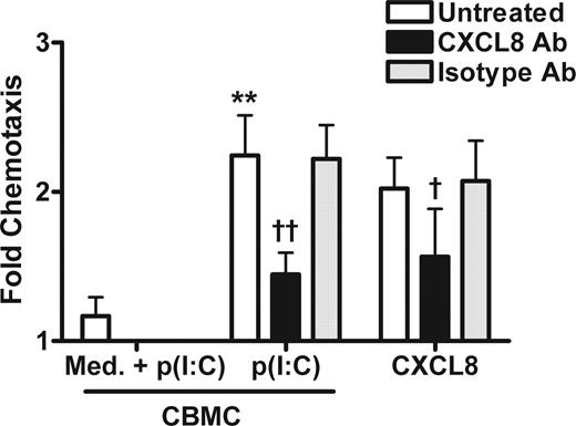 Figure 3. CBMC-derived CXCL8 is crucial for CD56+ cell migration. Supernatants from poly(I:C) (p(I:C))– or medium (med)–stimulated CBMCs were incubated with anti-CXCL8 (0.4 μg/mL) or isotype control mAbs before being placed in the bottom chamber of 96-well chemotaxis assays. Poly(I:C) was added to medium alone to control for potential chemotactic/chemokinetic effects of the poly(I:C). Radiolabeled MACS-isolated CD56+ cells were placed in the top chamber, and chemotaxis was done for 2 hours. CXCL8 (30 ng/mL) was used as a positive control for mAb inhibition of chemotaxis. Mean migration to poly(I:C)-CBMC supernatants was 10.7%. Graphs represent the mean (± SEM) of the fold increase in chemotaxis over medium of 4 to 6 separate experiments. **P < .01 compared with CBMC medium; †P < .05, ††P < .01, compared with no treatment.