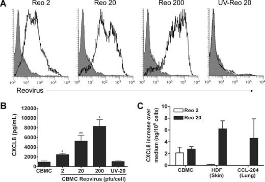 Figure 5. Mammalian reovirus infects CBMCs and induces CXCL8 production. CBMCs were infected with mammalian reovirus type 3 Dearing at an MOI of 2, 20, or 200 pfu/cell, or with UV-inactivated reovirus at an MOI of 20 pfu/cell for 24 hours. (A) CBMCs were stained with an antireovirus Ab by immunofluorescence and detected by flow cytometry after exposure to reovirus (thick black line) or medium control (filled gray). Histograms are representative of 2 to 3 experiments using different CBMC cultures. (B) Supernatants from these infections were also analyzed for CXCL8 content by ELISA. Bar graph shows mean (± SEM) of 3 to 9 experiments. *P < .05, **P < .05, compared with CBMC medium. (C) Human primary HDFs, and CCL-204 lung fibroblasts were grown to confluence in 6-well plates. These, along with CBMCs, were treated with medium control or with reovirus at an MOI of 2 or 20 pfu/cell for 24 hours under similar FBS conditions. CXCL8 content was measured in the supernatants by ELISA. Graphs show the mean (± SEM; ng/106 cells) of the increase in CXCL8 content over medium control of 3 to 6 experiments. CCL-204 did not produce CXCL8 above medium control after treatment with 2 MOI of reovirus.