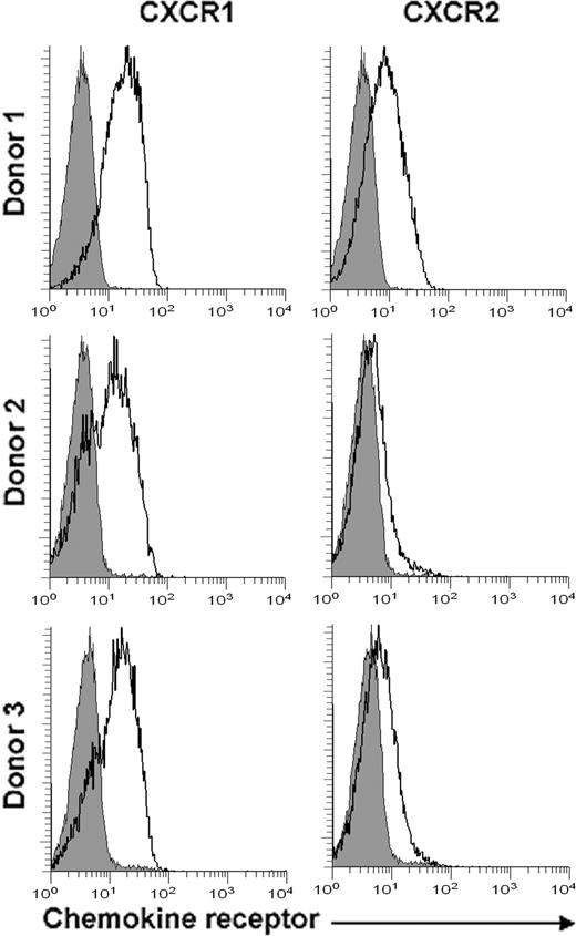 Figure 7. NK cells express more CXCR1 than CXCR2. CXCR1 and CXCR2 expression was determined on untreated freshly isolated human PBMCs from 3 separate blood donors by immunofluorescence with gating on CD56+ CD3− cells. Histograms show isotype control (filled gray) or CXCR1 or CXCR2 staining (thick black line), as indicated.