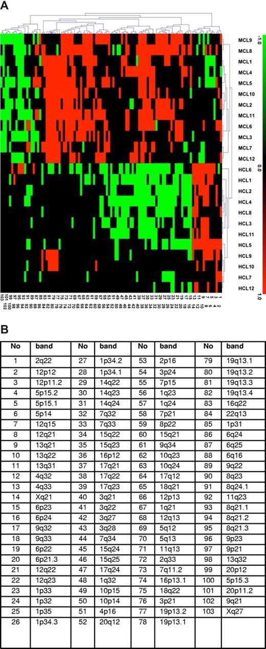 Figure 2. Gene-expressing profiling by CESH showed clustering t(11;14)-negative and t(11;14)-positive MCLs. (A) Results of unsupervised hierarchical cluster analysis of CESH data obtained in cases 1 to 8 (MCL1-8), 4 control t(11;14)-positive MCL cases (MCL9-12), and 12 additionally included HCL cases (HCL1-12). Each row represents one hybridization experiment and each column represents an informative differentially expressed chromosomal region described in panel B. Relative overexpression and underexpression are depicted as red and green, respectively, whereas black squares represent chromosomal regions showing no differential expression. Only regions recorded in at least 25% of all cases (at least 7 of 26) are displayed in this diagram. Note a clustering of all 8 t(11;14)-negative and 4 typical MCL cases and their separation from 12 HCL cases.