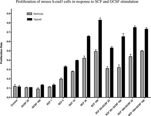 Figure 6. Proliferative effect of G-CSF, SCF, and its combination on murine cerebral endothelial cells in vitro. A mouse brain endothelial cell line (b.end3) was used in the experiment. Following a 24-hour incubation of the cells with the factors at different concentrations (values are mean nanograms per milliliter media) and BRDU, the proliferation rate was calculated based on optical density (OD) measurements. represents proliferation at normoxic conditions; ■ shows proliferation rate in hypoxic conditions. Controls received no factors but BRDU. G-CSF seems to be ineffective in the concentrations used, while SCF has a dose-dependent, significant proliferative effect, starting at 5 ng/mL. Combining the 2 factors results in proliferation rates similar to that of SCF alone. Hypoxic conditions seem to further increase the effectiveness of SCF. Values are means plus SD.