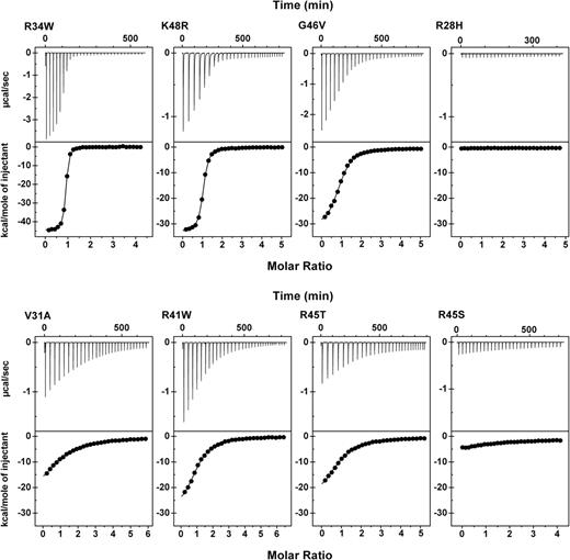 Figure 3. Representative isothermal titration calorimetry analyses of tetramerization site complexes. All experiments were conducted at 23°C with β16-17 in the reaction cell and the α0-1 peptide in the titration syringe. Top panels show baseline subtracted titration curve raw data; bottom panels show blank corrected integrated areas of the peaks from the top panel (●) and the best data fit using a nonlinear least-squares method (—). The protein concentrations of α0-1 mutants in the syringe were: R34W = 330 μM; K48R = 560 μM; G46V = 680 μM; R28H = 600 μM; V31A = 600 μM; R41W = 650 μM; R45T = 660 μM; R45S = 600 μM. The protein concentrations of the β16-17 wild-type recombinant in the cell were: 18 μM for R34W and 25 to 30 μM in all other cases.