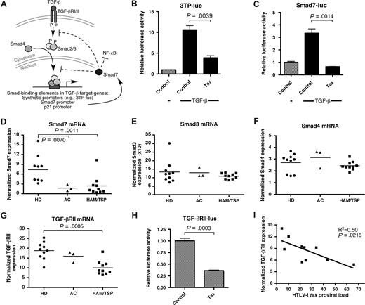 Figure 1. Suppression of TGF-β signaling in vitro by HTLV-I Tax and in HTLV-I–infected patients. (A) Schematic diagram of the TGF-β signaling pathway. HepG2 cells were transfected with either a (B) synthetic TGF-β/Smad reporter vector (3TP-luc), (C) Smad7 promoter construct, or (H) TGF-βRII promoter construct in combination with the indicated expression vectors and/or rhTGF-β1. Error bars represent SEM. After 24 hours, cell lysates were assayed for luciferase activity. Total RNA from CD4+ T cells from 10 healthy donors (HD), 3 HTLV-I–infected asymptomatic carriers (AC), and 10 patients with HAM/TSP were assayed for endogenous (D) Smad7, (E) Smad3, (F) Smad4, or (G) TGF-βRII mRNA expression by real-time RT-PCR (TaqMan). The horizontal bar represents the median. (I) A statistically significant negative correlation (P = .022, R2 = 0.50) between the HTLV-I tax proviral load in PBMCs and the TGF-βRII mRNA expression in CD4+ T cells was observed in HTLV-I–infected patients.
