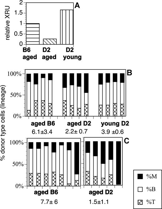 Figure 2. Relative repopulation units and differentiation potential of HSCs from aged mice. (A) Relative competitive repopulating units (rXRUs) in aged D2 are lower than in young D2 or aged B6 mice. Four mice were injected with 5 × 105 BM cells in each group. All mice received an equal dose of competitor marrow. Horizontal stripes indicate aged B6-CD45.1 plus young B6; diagonal stripes, aged D2-CD45.1 plus young D2; and vertical stripes, young D2-CD45.1 plus young D2. Donor-type cells (CD45.1) in blood were enumerated 5 months later, and the number of rXRUs per 105 cells were calculated as described.42 (B) Lineage contribution of HSCs in competitive repopulation: Shown is the percentage of myeloid cells (■), B lymphocytes (□), and T lymphocytes (▩) of donor origin for each mouse in each group. The mice are from the experiment described in panel A. The mean L/M ratio (± SD) for each group is indicated. The difference between the L/M ratios of aged and young D2 (P = .008) is significant; the difference between aged D2 and aged B6 (P = .06) approaches significance. (C) Lineage in noncompetitive repopulation. Mice received 105 Lin− cells from aged B6 or D2 donors (noncompetitive). Each bar represents a different experiment with a different donor. The difference between the L/M ratios of D2 versus B6 mice is significant with P = .051.