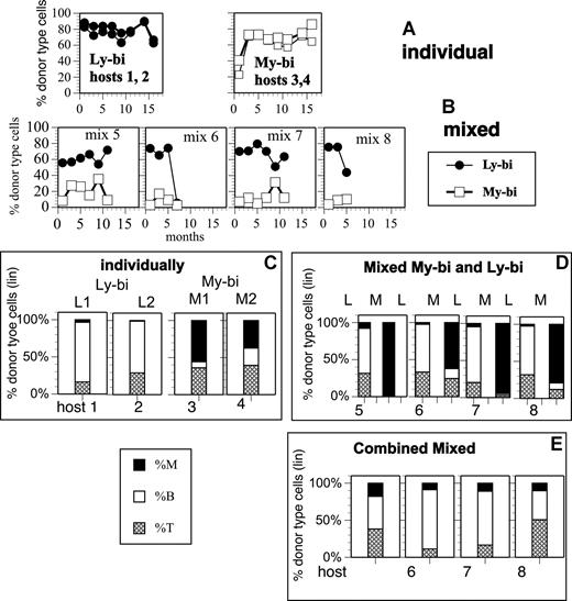 Figure 7. Clonal competition and obscuration. A My-bi (□) and a Ly-bi (●) HSC clone from young B6 donors were identified in primary hosts by their lineage contribution. BM cells (5 × 106) from the primary hosts were then injected into secondary hosts either alone (A,C) or as an equal mixture (B,D,E). Repopulation levels were measured at the indicated time points after transplantation into the secondary host. The HSC clones were originally obtained from a B6-GFP and a B6-CD45.1 donor, respectively, and the progenies of the clones were readily distinguishable. (A) Percentage donor-type cells in 2 mice each that received either the My-bi or the Ly-bi HSCs. (B) Percentage donor-type cells in 4 mice that received a 1:1 mixture of the My-bi and the Ly-bi HSCs. (C-E) The level of myeloid cells (■), B cells (□), and T cells (▩) in the donor-type cells at 7 months after transplantation except for mouse mix 8, where 5 months of data are presented. (C) Lineage contribution in mice that received either My-bi or Ly-bi HSCs. L1, L2, and M1 and M2 in panel C are the same mice shown in panel A. (D) Lineage contribution derived from the My-bi (M) and Ly-bi (L) HSCs in the mixed hosts. Each panel labeled host 5, 6, 7, and 8 corresponds to the mix 5, 6, 7, and 8, respectively, in panel B. Bars labeled L show the cells derived from the Ly-bi HSCs and bars labeled M show the cells derived from the My-bi HSCs in each host. (E) The percentage of myeloid and lymphoid cells derived from the 2 HSC clones shown in panel D was combined for each host.