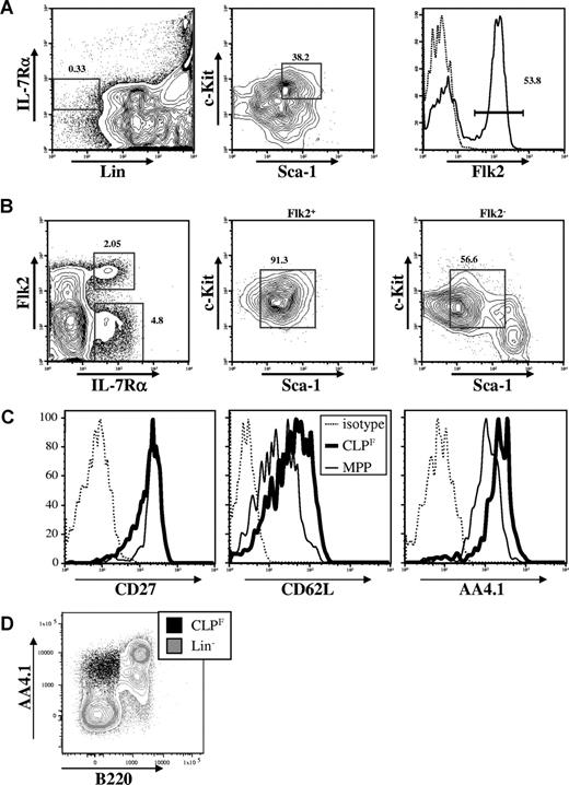 Figure 1. CLPs can be divided into Flk2+ and Flk2− fractions. (A) Strategy originally used to isolate CLPs by first gating on Lin−IL-7Rα+ cells (left panel) and subsequently on c-KitintSca-1int cells (middle panel) reveals heterogeneous expression of Flk2 (right panel). (B) Changing the gating strategy by first gating on lineage negative cells (not shown) reveals 2 distinct IL-7Rα+ populations (left panel). The Flk2+ fraction shows homogeneous expression of c-Kit and Sca-1 (middle panel) whereas the Flk2− fraction shows a more heterogeneous expression pattern (right panel). Numbers on plots are percentages of gated cells. (C) Surface expression of CD27, CD62L and CD93/AA4.1 on CLPF (bold lines) in comparison to MPP (solid thin lines), or isotype controls (dashed lines). (D) FACS plot overlay of CLPF (black dot plot) and lineage negative (excluding B220, gray contour plot) populations in C57Bl/6 BM. AA4.1hi cells are predominantly B220+.