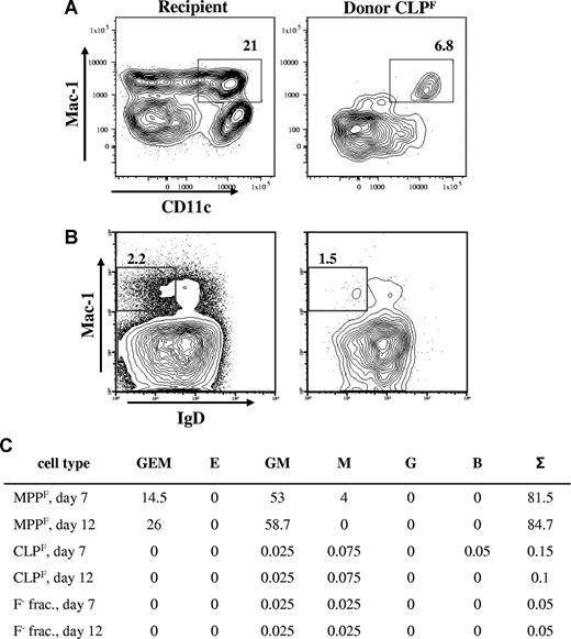 Figure 4. CLPF produce Mac-1+ B1b cells and Mac-1+CD11c+ dendritic cells, but not myeloid cells. (A) Congenic sublethally irradiated mice received transplants of 103 CLPF cells. Three weeks after the transfer spleens were analyzed for donor-derived cells. FACS plots shown are previously gated on recipient (left) or donor-derived cells (right) and are B220−CD19−Gr-1−. Percentage of Mac-1+CD11c+ dendritic cells are shown. (B) Analysis of Mac-1+ B-1b cell differentiation from CLPF in the spleen 4 weeks after transplantation. Cells are pregated on CD5−, and the percentage of Mac-1+IgD− B-1b cells are shown. Numbers on plots are percentages of gated cells. (C) Methylcellulose myeloid differentiation assay. c-Kit+Lin−Sca-1+Flk2+ (MPPF) cells, CLPF, and Flk2− fraction cells (F− frac.) from bone marrow were double sorted and plated out at 100 cells (MPPF) and 500 to 1000 cells (CLPF and F− frac.) in triplicates in methyl cellulose medium containing SCF, Flt3L, GM-CSF, Epo, Tpo, IL-3, IL-6, and IL-11. The average number of colonies yielded and their lineage content as colony forming units (CFU) from 2 combined experiments are shown. G, granulocyte; E, erythrocyte; M, macrophage; B, B cell; and Σ, sum.