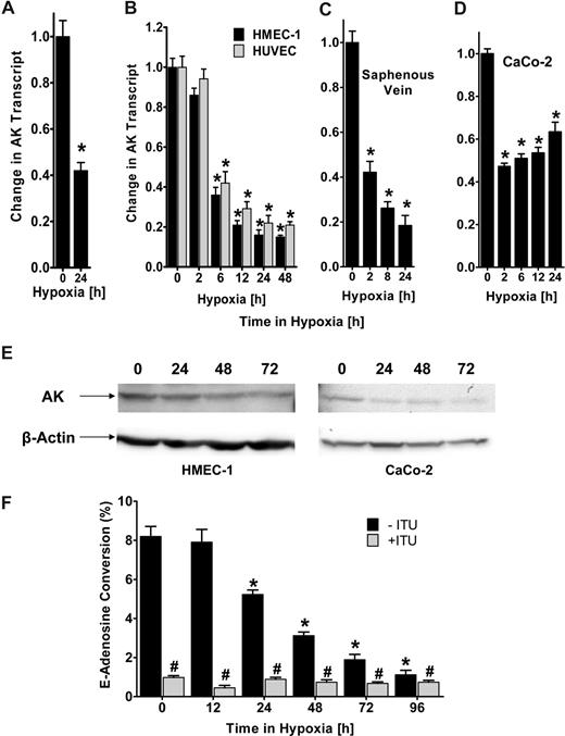 Figure 1. Adenosine kinase (AK) expression and function during hypoxia. (A) Microarray analysis of AK in response to hypoxia. Confluent HMEC-1s were exposed to normoxia (21% oxygen) or hypoxia (2% oxygen, 24 hours) and relative AK expression was quantified from total RNA by microarray analysis. *Decreased fluorescence, P < .005. (B) Confluent HMEC-1/HUVEC monolayers were exposed to normoxia or hypoxia (2% oxygen) for the indicated time. Total RNA was isolated, and AK mRNA levels were determined by real-time RT-PCR. Data are expressed as fold change in transcript over normoxia plus or minus SD, and have been calculated relative to internal housekeeping gene (β-actin). Results are derived from 3 experiments in each condition (*P < .001). (C) Human saphenous vein was obtained from patients undergoing aorto-coronary bypass surgery and exposed ex vivo to normoxia (24 hours) or hypoxia. Real-time PCR was used to define AK mRNA levels. Results are derived from 3 experiments (*P < .001). (D) Confluent epithelial CaCo-2 cells were exposed to normoxia or hypoxia, and AK mRNA levels were determined (*P < .005). (E) Expression of AK protein during hypoxia in HMEC or CaCo-2 cells exposed to indicated periods of hypoxia. (F) Endothelial monolayers were exposed to indicated periods of hypoxia, and total AK activity was determined by HPLC (■, *P < .01). To determine specificity, cells were preincubated with 10 μM ITU (, #P < .01). Data are derived from 5 monolayers in each condition, and results are expressed as mean percent E-adenosine conversion plus or minus SD.