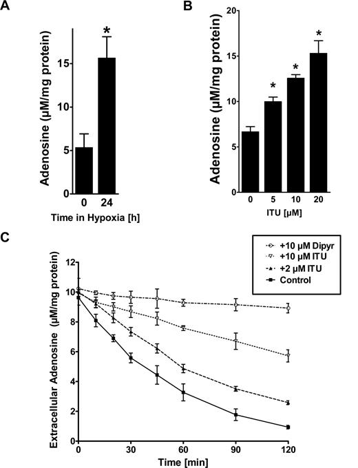 Figure 6. Adenosine kinase (AK) in modulating intracellular adenosine concentration and adenosine uptake. (A) Confluent HMEC-1s were exposed to normoxia or hypoxia (2% oxygen) for 24 hours, and intracellular levels of adenosine were determined by HPLC (*P < .05). (B) Confluent HMEC-1s were treated with indicated concentrations of the AK inhibitor 5′-iodotubericidin (ITU) over 30 minutes, and intracellular levels of adenosine were determined by HPLC (*P < .01). (D) HMEC-1 cells were treated with indicated concentrations of ITU and Ado transport was quantified. Control experiments were performed in the presence of dipyridamole (20 μM). Measurements were performed in triplicate (mean ± SD). Shown is 1 of 3 representative experiments.