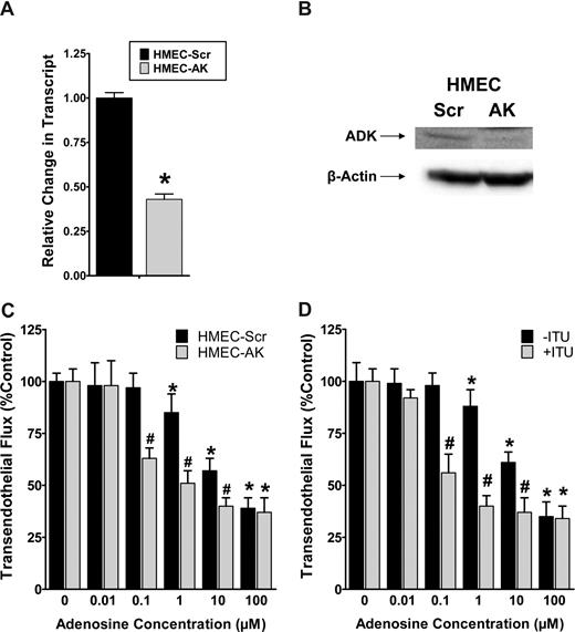 Figure 7. Influence of adenosine kinase (AK) repression on endothelial barrier function in vitro. (A,B) Characterization of a HMEC-1 line with psiRNA repression of AK. PsiRNA-mediated silenced cells (HMEC-AK) or control transfected HMEC-1s (HMEC-Scr) were subjected to normoxia or hypoxia (12 hours). AK transcript was determined by real-time RT-PCR. Results are derived from 3 experiments. *Difference between normoxia and hypoxia (*P < .01). (B) Western blot analysis of AK protein. (C) Influence of extracellular adenosine on endothelial barrier function in HMEC-1 with psiRNA-repression of AK (HMEC-AK), or controls (HMEC-Scr). Indicated concentrations of adenosine were added to the apical surface and permeability to FITC-dextran was quantified. Data are expressed as mean plus or minus SD of percent control flux (*P < .01, significant differences between normoxia and hypo-xia; #P < .001, significant differences between HMEC-Scr and HMEC-AK). (D) Influence of AK inhibitor 5′-iodotubericidin (ITU, 20 μM) on adenosine-elicited barrier responses. (*P < .05, significant differences between normoxia and hypoxia; #P < .001, significant differences between treatment with ITU or control).