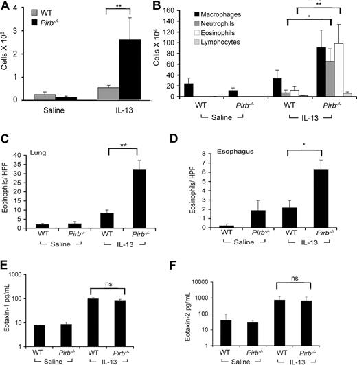 Figure 3. Assessment of IL-13–induced eosinophil recruitment in Pirb−/− mice. Mice received intranasal treatment of 10 μg/day every other day of either IL-13 or control saline solution. The total cell count (A) and differential cell counts (B) in BALF 48 hours after the final saline or IL-13 challenge are shown. Data are expressed as means plus or minus SD; *P < .05; **P < .01; ns indicates nonsignificant; n = 3 (4-6 mice/experimental group). Quantification of eosinophil numbers in the lung (C) and esophagus (D) was assessed by digital morphometric analysis. Data are expressed as means plus or minus SD; *P < .05; **P < .01 when comparing IL-13–treated WT and Pirb−/− mice; n = 3 experiments (4-6 mice/experimental group). The levels of eotaxin-1 and eotaxin-2 (E,F) were assessed in the BALF of WT and Pirb−/− mice using a commercial ELISA. Data represent means plus or minus SD of n = 3 experiments (4-6 mice/experimental group).