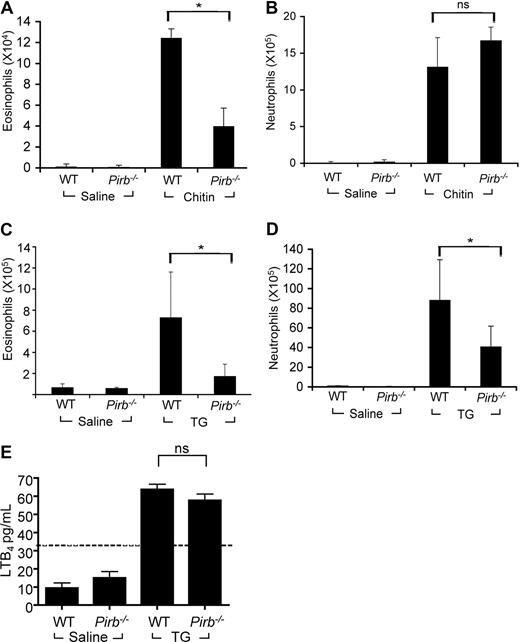 Figure 5. Assessment of granulocyte recruitment in response to chitin and thioglycolate. The accumulation of eosinophils (A,C) and neutrophils (B,D) in the BALF of chitin-challenged (A) and the peritoneum of thioglycolate (TG)–challenged Pirb−/− or wild-type (WT) mice was assessed by differential cell counts. Data are expressed as means plus or minus SD of n = 3 (6-8 mice per experimental group); *P < .05; ns indicates nonsignificant when comparing chitin-challenged or TG-challenged WT and Pirb−/− mice. (E) LTB4 was assessed in the peritoneal lavage fluid of thioglycolate-challenged WT and Pirb−/− mice. Data are expressed as means plus or minus SD of n = 3 (6-8 mice per experimental group). The dashed line represents the detection limit of the assay.