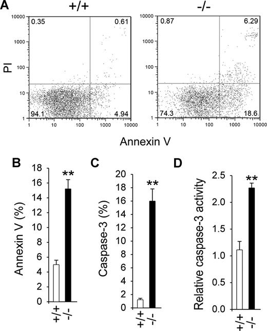 Figure 2. GSD-Ib neutrophils display increased rate of apoptosis. Peritoneal neutrophils were isolated from 6- to 7-week-old unaffected (+/+) and GSD-Ib (−/−) mice during thioglycollate-elicited peritonitis. (A) Representative flow cytometric analysis of neutrophil annexin V (x-axis) binding and PI (y-axis) uptake. Numbers on the plots are percentages of total cells. (B) Quantification of annexin V–positive neutrophils determined by immunofluorescence staining. (C) Quantification of caspase-3–positive neutrophils determined by immunofluorescence staining. (D) The DEVD-cleaving activity of active caspase-3 in protein extracts of peritoneal neutrophils. Data represent the means (± SEM) of 3 independent experiments. **P < .001.