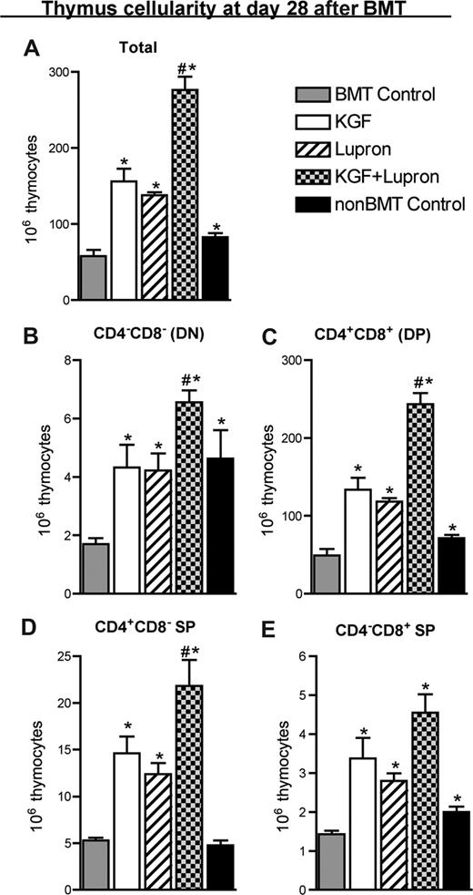 Figure 1. Pretreatment with KGF combined with androgen blockade additively restored thymopoiesis early after allogeneic BMT. Lethally irradiated B6 recipients of allogeneic (BALB/c) bone marrow were left untreated (BMT Control) or pretreated with KGF, leuprolide acetate, or KGF + leuprolide acetate and analyzed for thymocyte cellularity at day 28 after BMT alongside age-/sex-matched, unmanipulated B6 control animals (non-BMT Control). Data shown are mean absolute numbers (± SEM) of (A) total thymocytes and of the thymocyte subsets: (B) CD8−CD4− double-negative, (C) CD8+CD4+ double-positive, (D) CD4+CD8− single-positive, and (E) CD4−CD8+ single-positive. The data are representative of 4 independent experiments with 4 to 5 mice per group. *P < .05 compared with untreated BMT recipients; #P < .05 compared with KGF-treated or leuprolide acetate-treated BMT recipients.