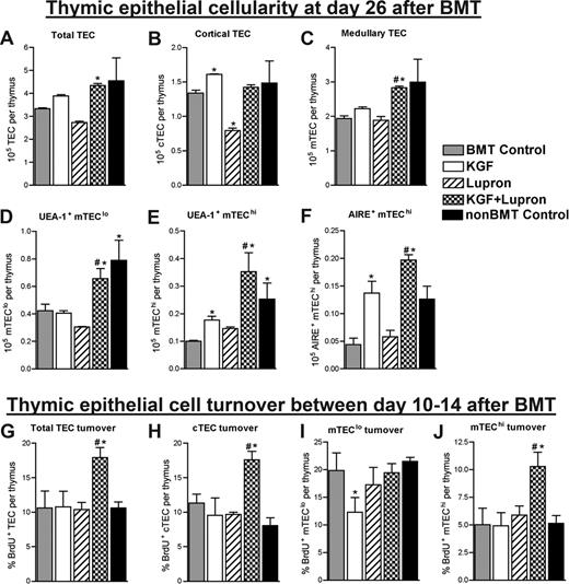Figure 2. Combined pretreatment with KGF and androgen blockade maximally restores numbers of total TECs and mTEC subsets by day 26 after BMT. (A-F) Lethally irradiated B6 recipients of allogeneic (BALB/c) bone marrow were left untreated (BMT Control) or pretreated with KGF, leuprolide acetate, or KGF + leuprolide acetate and analyzed for absolute numbers of TEC and TEC subsets at day 26 after BMT. Single-cell suspensions were prepared from enzymatic digests of individual thymi and used to determine total thymic epithelial cells (TEC; CD45−MHC-II+) (A), cortical TEC (cTEC; CD45−MHC-II+Ly51+) (B), medullary TEC (mTEC; CD45−MHC-II+Ly51−) (C), UEA-1+ mTEClo (CD45−MHC-IIlowLy51− UEA-1+) (D), UEA-1+ mTEChi (CD45−MHC-IIhighLy51− UEA-1+) (E), AIRE+ mTEChi (CD45−MHC-IIhighLy51− AIRE+) (F). (G-J) Total TECs and individual TEC subsets were assessed for proliferation by continuous administration of BrdU in the drinking water (0.8 mg/mL) between day 10 and 14 after BMT at which point Total TECs (G), cTEC (H), mTEClo (I), and mTEChi subsets (J) were analyzed for BrdU incorporation. Data shown are the mean numbers of TEC (± SEM) or mean percentages of BrdU+ TEC (± SEM) and are representative of one experiment of 4 mice per group. *P < .05 compared with BMT control mice; #P < .05 compared with KGF- or leuprolide acetate-treated BMT recipients.