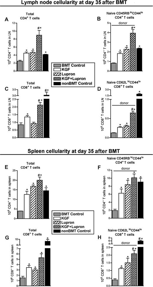 Figure 3. Combined pretreatment with KGF and androgen blockade significantly restore numbers of total and donor-derived naive CD4+ and CD8+ T cells in lymph node and spleen by day 35 after BMT. Lethally irradiated B6 recipients of allogeneic (BALB/c) bone marrow were left untreated (BMT Control) or pretreated with KGF, leuprolide acetate, or KGF + leuprolide acetate and analyzed for the presence of T cells in the lymph nodes and spleen at day 35 after BMT alongside unmanipulated age/sex-matched B6 control animals (non-BMT Control). Mean absolute num-bers (± SEM) of total CD4+ T cells (A,E), naive (CD45RBhighCD44low) CD4+ T cells (B,F), total CD8+ T cells (C,G), and naive (CD62LhighCD44low) CD8+ T cells (D,H) in the lymph nodes and spleen are shown. Lymph node data are represented here by pooled cells from 2 inguinal, 2 axillary, and mesenteric lymph nodes. Data are representative of 3 experiments, each with 4 mice per group; *P < .05 compared with BMT control mice; #P < .05 compared with KGF-treated BMT recipients.