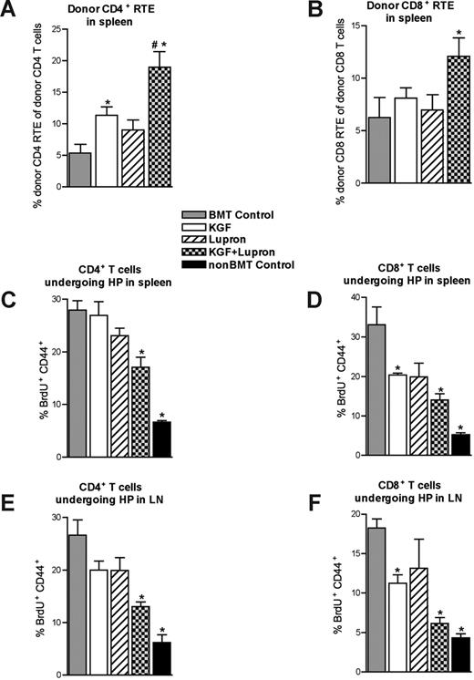 Figure 4. Enhanced thymocyte cellularity in KGF + leuprolide acetate-treated BMT recipients correlates with increased T-cell export into the periphery and diminished homeostatic proliferation early after BMT. (A,B) Lethally irradiated B6 recipients of allogeneic (BALB/c) bone marrow that were left untreated (BMT Control) or pretreated with KGF, leuprolide acetate, or KGF + leuprolide acetate were intrathymically injected (one thymic lobe) with biotin at 28 days after BMT. After 24 hours of in vivo labeling, the export of thymus-derived CD4 (A) and CD8 (B) T cells into the periphery was assessed by staining total splenocytes with fluorescently labeled streptavidin in combination with monoclonal antibodies specific for CD4 and CD8. Absolute numbers of recent thymic emigrants (RTE) were normalized to absolute numbers of donor-derived CD4+ or CD8+ T cells in panels A and B, respectively. (C-F) Homeostatic proliferation in the CD4+ and CD8+ T-cell compartment was also assessed between days 30 and 35 after BMT. Treated and untreated BMT recipients and non-BMT control mice were injected intraperitoneally with BrdU (1 mg) on day 30, followed by continuous administration of BrdU in the drinking water (0.8 mg/mL) through day 35 after BMT, at which point CD4+ and CD8+ T cells were analyzed for BrdU incorporation and concomitant up-regulation of CD44, thus indicating that proliferation had occurred within the 5-day labeling window. Data shown are the mean percentages of BrdU+CD44+ (± SEM) of total CD4+ T cells (C,E) and CD8+ T cells (D,F) isolated from the spleens and lymph nodes of these mice. These data are representative of one experiment with 4 mice per group; *P < .05 compared with BMT control mice; #P < .05 compared with KGF- or leuprolide acetate-treated BMT recipients.