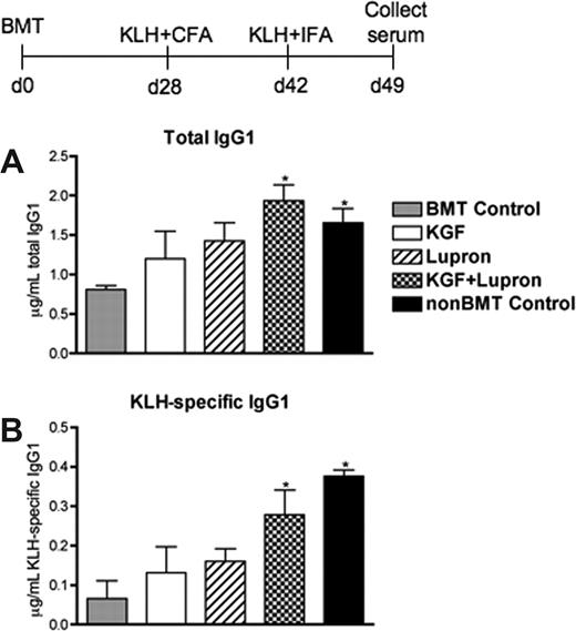 Figure 5. KGF treatment and androgen blockade before BMT enhance the secondary humoral immune response to KLH after allogeneic BMT. Lethally irradiated C57BL/6 recipients of allogeneic (BALB/c) bone marrow were left untreated (BMT Control) or pretreated with KGF, leuprolide acetate, or KGF + leuprolide acetate and immunized at day 28 after BMT with 50 μg of KLH in Complete Freund's adjuvant (KLH/CFA) alongside unmanipulated age/sex-matched C57BL/6 control animals (non-BMT Control). Two weeks after primary immunization (equivalent to day 42 after BMT), mice were rechallenged with 50 μg of KLH in Incomplete Freund's adjuvant (KLH/IFA). Serum was then collected after 7 days and analyzed with the use of ELISA for total IgG1 (A) and KLH-specific IgG1 (B) antibody levels. Data shown are mean micrograms of IgG1 per milliliter of serum (± SEM) from one experiment with 4 mice per group; *P < .05 compared with untreated BMT control mice.