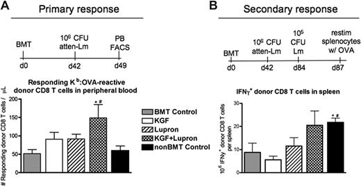 Figure 6. Combined pretreatment with KGF and androgen blockade before BMT significantly improves CD8 T-cell responses against L monocytogenes after allogeneic BMT. Lethally irradiated C57BL/6 Ly5.2+ recipients of congenic (C57BL/6 Ly5.1+) bone marrow were left untreated (BMT Control) or pretreated with KGF, leuprolide acetate, or KGF + leuprolide acetate and immunized at day 42 after BMT alongside unmanipulated age/sex-matched B6 control animals (non-BMT Control). For primary immunization, 106 CFU of an attenuated strain of L monocytogenes that express recombinant full-length chicken ovalbumin (ΔactA-Lm-OVA) was intravenously injected. (A) Absolute numbers of donor-derived Ly5.1+CD44+CD8+ Kb-OVA257-64–specific T cells were quantified in peripheral blood of infected animals by FACS 7 days after primary infection. (B) Immunized mice were then rechallenged with 105 CFU of the virulent parent strain, Lm-OVA, 42 days after primary infection. After 3 days, isolated splenocytes of infected animals were restimulated ex vivo for 5 h with OVA257-64, and donor-derived CD8 T cells were analyzed by FACS for IFNγ production. *P < .05 compared with untreated BMT control mice; #P < .05 compared with KGF- and leuprolide acetate–treated BMT recipients.