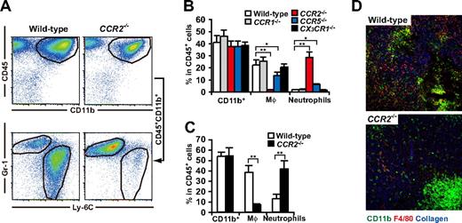 Figure 4. Chemokine receptor usage for accumulation of MDSCs in tumor. 3LL tumors were subcutaneously inoculated to WT, CCR1−/−, CCR2−/−, CCR5−/−, or CX3CR1−/− mice. Seven days after tumor inoculation, when tumor grew to 6-10 mm in diameter, tumor-infiltrating leukocytes were analyzed by a flow cytometry. (A) Representative flow cytometric profiles of tumor-infiltrating CD45+CD11b+ cells in WT and CCR2−/− mice. (B) Percentage of CD11b+ cells, macrophages, and neutrophils in CD45+ leukocytes from tumors of WT or chemokine receptor-deficient mice. (C) Percentage of CD11b+ cells, macrophages, and neutrophils in CD45+ leukocytes from B16 tumor of WT or CCR2−/− mice. (D) Cryosections of tumors from CCR2+/+ and CCR2−/− mice were subjected to immunofluorescent staining with antibodies to CD11b (green), F4/80 (red), type IV collagen (blue). Representative image of 3 mice for each group. (B,C) Graphs represent the mean (± SD) of 3-5 mice. *P < .05; **P < .01.