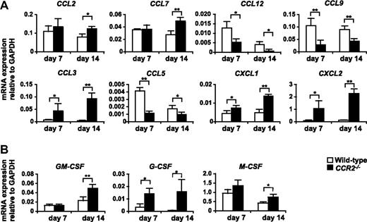 Figure 5. Expression of mRNA for chemokines and myeloid colony stimulation factors in the tumor of WT and CCR2−/− mice. 3LL tumors were resected from WT or CCR2−/− mice on days 7 and 14 after tumor inoculation, and the expression of mRNA for chemokines (A) and myeloid colony stimulation factors (B) was analyzed by RT-PCR. Graph represents the mean (± SD) of four mice. *P < .05; **P < .01. Data are representative of 2 independent experiments.