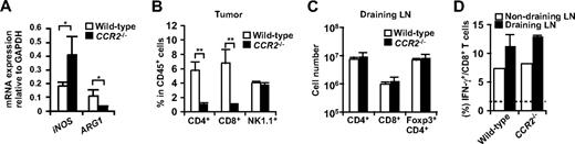 Figure 6. T cell responses in CCR2−/− mice. (A) mRNA expression of iNOS and ARG1 in the tumor of WT or CCR2−/− mice was analyzed by RT-PCR. (B) Percentage of CD4+ cells, CD8+ cells, and NK1.1+ cells in CD45+ leukocytes from tumors of WT or CCR2−/− mice was analyzed by flow cytometry. (C) Number of CD4+ cells, CD8+ cells, and Foxp3+CD4+ cells in the draining LNs of WT or CCR2−/− mice was analyzed by flow cytometry. (D) Ex vivo IFN-γ production of CD8 T cells from tumor-draining LNs and nondraining LNs of WT or CCR2−/− mice was analyzed by flow cytometry. Dotted line indicates no-stimulation background. Graphs represent the mean (± SD) of 3 to 5 mice. *P < .05; **P < .01. Representative of 2 independent experiments.