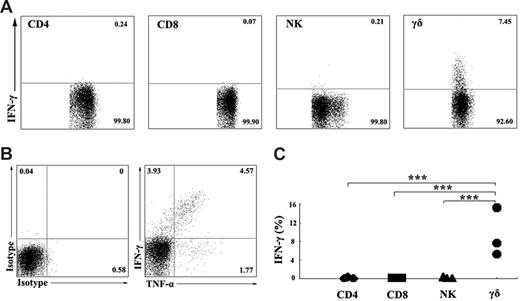 Figure 2. γδ T cells, but not CD4, CD8, or NK cells, express IFN-γ in ESAT-6–stimulated PBMCs. (A) Identification of IFN-γ–producing cells in PBMCs induced by ESAT-6. PBMCs were cultured in the presence of ESAT-6. After stimulation for 5 hours, cells were harvested and FACS stainings were conducted as described in “Flow cytometric analysis of cell-surface markers and intracellular staining.” Subpopulations of CD3+CD4+ T cells, CD3+CD8+ T cells, CD3−CD56+ NK cells, and γδ T cells were analyzed by FACS for IFN-γ expression. (B) One representative result from 3 independent experiments showing the expression of TNF-α and IFN-γ. The numbers in each quadrant represent the percentages of positive cells in gated γδ T cells. (C) Statistical results of IFN-γ expression by subpopulations of PBMCs from 3 independent experiments were shown. ***P < .001.