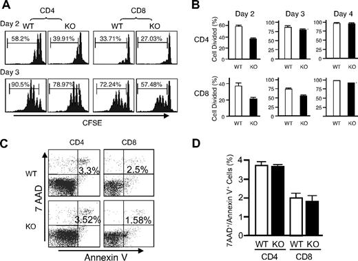 Figure 4. Rsk2 is required for the early phase of T-cell proliferation and expression of IL-2 but is not required for IFNγ and IL-4 production. (A) Purified T cells isolated from WT and Rsk2 KO (KO) mice were labeled with CFSE and stimulated with plate-bound anti-CD3 (2 μg/mL) plus anti-CD28 (1 μg/mL). The rates of cell division for CD4+ and CD8+ T cells were determined by dilution of CFSE on days 2 and 3, respectively. Representative flow cytometric profiles are shown and the percentage of cells undergoing cell division is indicated. (B) Summary of the CFSE experiment for data derived from days 2 to 4. Shown is the mean plus or minus SEM (WT: n = 3; KO: n = 4). (C) Purified T cells from WT and Rsk2 KO mice were stimulated using 2 μg/mL plate-bound anti-CD3 plus 1 μg/mL anti-CD28 for 24 hours, and the cells were stained first with anti-CD4 APC or anti-CD8 APC and then with 7AAD and Annexin V–PE. Apoptotic cells were indicated as 7AAD+/Annexin V+ cells. (D) Shown are data from 3 independent experiments. Error bars represent SEM.