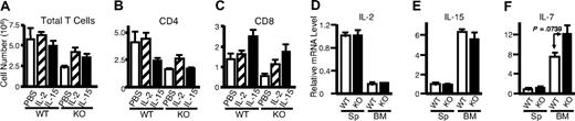 Figure 8. In vivo administration of IL-2 or IL-15 could not rescue defective homeostatic proliferation in Rsk2 KO mice, and Rsk2 mice had normal expression of IL-2, IL-7, and IL-15 in spleen and bone marrow cells. (A-C) Sublethally irradiated WT and Rsk2 KO (KO) mice were intraperitoneally injected daily for 15 days with either 10 μg of IL-2 or IL-15 in 0.2 mL PBS, or 0.2 mL PBS as control, and the cellularities of total T cells (A) and the CD4+ (B) and CD8+ (C) subpopulations from these mice were determined. (D-F) Ex vivo mRNA expression of IL-2 (D), IL-15 (E), and IL-7 (F) in splenocytes (Sp) and bone marrow (BM) from WT and Rsk2 KO (KO) mice was determined by RT-PCR, and the expression levels were shown as relative to the levels from splenocytes of WT mice.