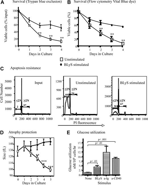 Figure 1. BLyS stimulation promotes B-cell survival and growth. (A,B) BLyS sustains B cells ex vivo. Mature small resting murine splenic B cells positively selected with anti-CD23 and streptavidin magnetic beads were cultured for 4 days with or without 100 ng/mL huBLyS. The number of viable cells was determined daily by trypan blue exclusion (A) or by flow cytometry using blue fluorescent vital dye (B); data are the arithmetic mean (± SD) of 2 separate experiments. (C) B cells cultured with BLyS resist apoptosis. Apoptosis was determined by flow cytometry using PI on CD23+ B cells freshly prepared or cultured for 3 days with and without 100 ng/mL of huBLyS. The results are representative of 3 independent experiments. PI indicates propidium iodide. (D) B cells cultured with BLyS maintain cell size ex vivo. Percoll-purified B cells were cultured for 5 days in CM with and without 50 ng/mL of rhuBLyS and sized daily using a Coulter Z2 particle analyzer. Dead cells were excluded by sedimentation over Percoll. Data shown are the arithmetic means (±SD) for 3 independent experiments with statistical comparisons between unstimulated and BlyS-stimulated B cells indicated (**P < .01; ***P < .001). (E) BLyS promotes increased glucose metabolism. Glucose use by cultured CD23+ B cells left unstimulated or stimulated with 100 ng/mL rhuBLyS, 5 μg/mL anti-Ig or 0.5 μg/mL of anti-CD40 for 2 days. Results are the arithmetic means (± SD) for 2 independent experiments.
