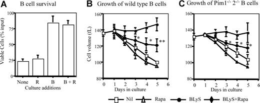 Figure 3. Rapamycin inhibits B-cell growth but not survival. (A) BLyS-dependent ex vivo B-cell survival is resistant to rapamycin. Small resting B cells from normal donors were cultured for 4 days with and without 100 ng/mL rhuBLyS, vehicle, or 50 nM rapamycin, which was used to pretreat B cells before culture, added directly to cultures on initiation and readded every 2 days. Viable cells were determined at day 4. Data are the arithmetic mean (±SD) and the results of 3 independent experiments. (B,C) Rapamycin inhibits BLyS-dependent maintenance of B cell size. CD23+ B cells from (B) normal or (C) Pim 1−/− 2−/− double-deficient donors were cultured with and without BLyS and with vehicle or rapamycin for 5 days. Cell size was determined for viable cells daily by a Coulter Z2 size analyzer. Results are the arithmetic mean (±SD) from 3 independent experiments. Statistical comparisons are between BLyS and BLyS plus rapamycin cell populations (* P < .05; ** P < .01).