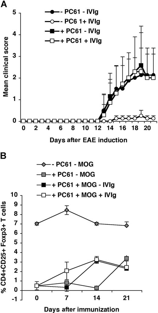 Figure 5. IVIg-mediated protection against EAE depends on the presence of Treg. (A) IVIg failed to protect mice that were depleted of Treg. Mice n = 7 in each group. For Treg depletion, animals received 100 μg of antibody PC61 intraperitoneally 10 days before EAE induction (squares). The control groups were not depleted (circles). The mice were treated (open symbols) or not (solid symbols) with IVIg. All mice were immunized with MOG35-55. Clinical EAE was assessed as mentioned previously. (B) Reappearance of Treg in the blood of depleted mice, after EAE induction. Mice were depleted of T cells and immunized with MOG35-55 in the presence (□) or absence of IVIg (■). They were bled at intervals of 7 days after immunization (n = 5 for each group). Two control groups of naive untreated animals, which were Treg depleted (░) or not () were included. The percentage of cells coexpressing CD25 and Foxp3 in the CD4 population (Treg) was assessed in the blood using flow cytometry, and the mean percentages (± SD) for 5 mice in each group are represented. Similar results were obtained in 2 independent experiments. Data are the mean plus or minus SD.