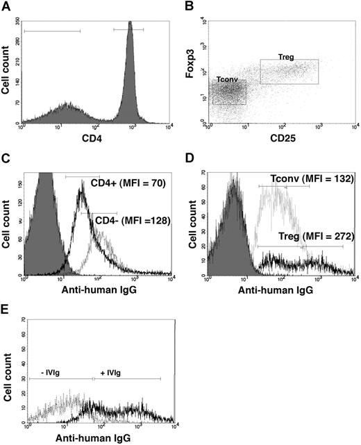 Figure 7. Interaction of IVIg with Treg and Tconv cells. Single-cell suspension was prepared from the spleen and the LN of C57BL/6J mice and incubated for 45 minutes at 4°C with 10 mg/mL of IVIg or monoclonal M protein (IgG purified from the serum of Multiple Myeloma patients). IVIg binding was revealed using a PE-conjugated antihuman IgG. (A) Lymphocytes were first gated on CD4+ T cells that were further gated on (B) CD25− Foxp3− as Tconv and CD25+Foxp3+ as Treg. (C) Binding of IVIg to the CD4− cells and CD4+ cells was analyzed based on MFI. (D) Within CD4+ cells, binding of IVIg to Treg and Tconv cells. At the same concentration, monoclonal M protein did not bind to the cells. (E) Treg incubated with or without IVIg.