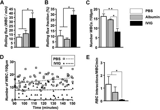 Figure 1. Effect of IVIG on the leukocyte behavior and RBC capture in TNF-α treated sickle mice. IVIG increases the number of rolling leukocytes. (A) Leukocyte rolling flux represents the number of rolling leukocytes per minute. *P < .05. (B) Leukocyte rolling flux fraction. *P < .05. (C) Number of adherent leukocytes per 100 μm. *P < .05; **P < .01. (D) Scatter plots of the number of leukocytes during the experimental period. Each symbol represents data from a single venule. The increase in leukocyte adhesion over time after TNF-α exposure was abrogated in IVIG-treated compared with PBS-treated control mice. The gray and black dashed regression lines represent PBS-treated and IVIG-treated mice, respectively. (E) Number of interactions between RBCs and adherent WBCs per minute. *P < .05.