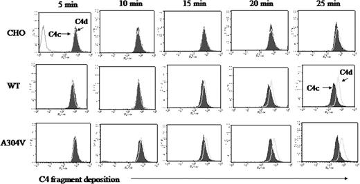 Figure 7. Kinetic analysis of cofactor activity for C4b of wild type versus the A304V mutant MCP. Control profile was nearly identical for cells exposed to sensitizing antibody but not to serum or to serum alone. Antibody, 1.0 mg/mL; serum concentration, 10%. Representative experiment of 3.