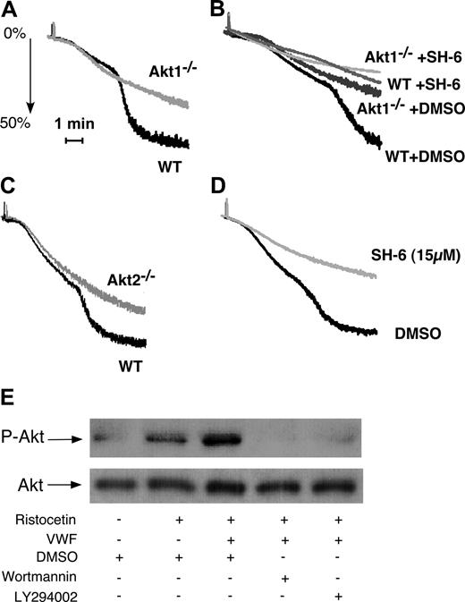 Figure 1. The role of Akt in GPIb-IX–mediated platelet aggregation and the PI3K-dependent Akt activation induced by vWF. (A) Washed wild-type (WT) and Akt1−/− mouse platelets were stimulated with botrocetin (2 μg/mL) and vWF (7.5 μg/mL). Platelet aggregation was monitored using a turbidometric aggregometer at 37°C and 1000 rpm stirring speed. (B) WT and Akt1−/− platelets were treated with DMSO or SH-6 (15 μM) for 2 minutes and then stimulated with botrocetin (1.2 μg/mL) and vWF (10 μg/mL). (C) WT and Akt2−/− platelets were stimulated with botrocetin and vWF as in panel B. (D) Washed human platelets were preincubated with Akt inhibitor SH-6 (15 μM) or the vehicle (DMSO) for 2 minutes, and then stimulated with botrocetin and vWF as in panel B. (E) Washed human platelets (5 × 108/mL) were preincubated with DMSO, PI3K inhibitors, wortmannin (100 nM), or LY294002 (20 μM), then stimulated with ristocetin (0.5 mg/mL) in the absence or presence of 25 μg/mL vWF for 1 minute in a platelet aggregometer. Platelets were solubilized and immunoblotted with a rabbit antibody specifically recognizing Akt phosphorylated at serine-473 (p-Akt) or with a rabbit anti-Akt antibody to indicate loading levels (Akt).