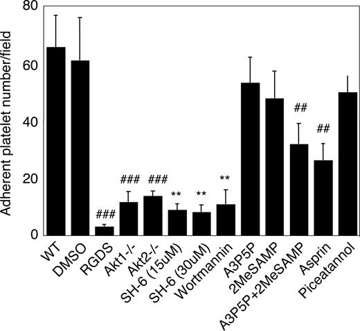 Figure 4. The role of Akt in stable platelet adhesion to vWF under shear stress. Washed mouse platelets were preincubated with DMSO, RGDS (1 mM), SH-6 (15 and 30 μM), wortmannin (100 nM), the P2Y1 antagonist A3P5P (0.5 mM), the P2Y12 antagonist 2MeSAMP (10 μM), A3P5P and 2MeSAMP, aspirin (1 mM), or the Syk inhibitor piceatannol (10 μM) for 2 minutes, loaded onto the vWF-coated glass slides with mepacrine (10 μM), and then subjected to constant shear rate (800 s−1) for 5 minutes. After washing, adherent platelets were photographed under the fluorescent microscope as described in “Platelet adhesion under shear stress.” Numbers of adherent platelets/field were quantitated. Data (mean ± SD) were obtained from 10 randomly selected fields from each of 3 experiments. ##P < .01 vs WT platelet. **P < .01 vs DMSO-treated platelet. P < .01 for the difference between ADP receptor antagonists and SH-6 or between aspirin and SH-6. P < .05 for difference between ADP receptor antagonists and Akt knockout or between aspirin and Akt knockout.