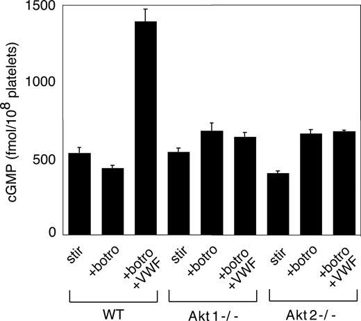 Figure 6. The role of Akt in GPIb-IX–dependent elevation of platelet cGMP. Washed WT, Akt1−/−, and Akt2−/− platelets were stimulated with botrocetin alone or botrocetin (1.5 μg/mL) and vWF (10 μg/mL) in the aggregometer for 8 minutes. The cGMP levels (mean ± SD) in platelets were measured as described in “vWF-induced platelet cGMP elevation.” Data were obtained from 3 tests.