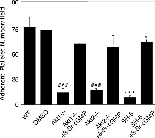 Figure 7. Correction of impaired stable platelet adhesion to vWF in Akt–deficient or Akt inhibitor–treated platelets by exogenous cGMP. Washed mouse platelets were preincubated with DMSO or SH-6 (15 μM). WT, Akt1−/−, or Akt2−/− platelets were then treated with or without 10 μM 8-bromo-cGMP and immediately allowed to adhere to vWF under constant shear rate (800 s−1) for 5 minutes. After washing, stably adherent platelets were counted under a fluorescence microscope as described in “Platelet adhesion under shear stress.” Data (mean ± SD) were obtained from 10 randomly selected fields from each of 3 experiments. ###P < .001 versus WT platelets. ***P < .001 versus DMSO–treated WT platelets. *P < .05 versus DMSO-treated WT platelets.